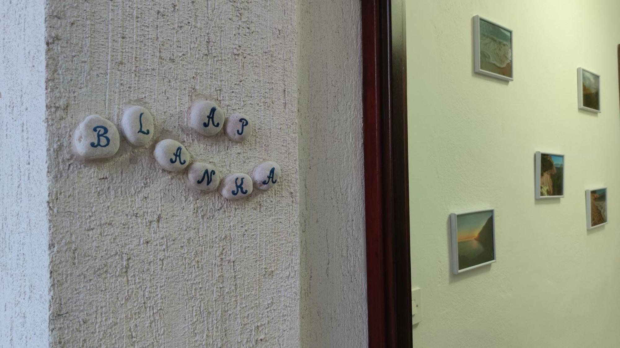 Apartments Tonkovic Kornić Εξωτερικό φωτογραφία